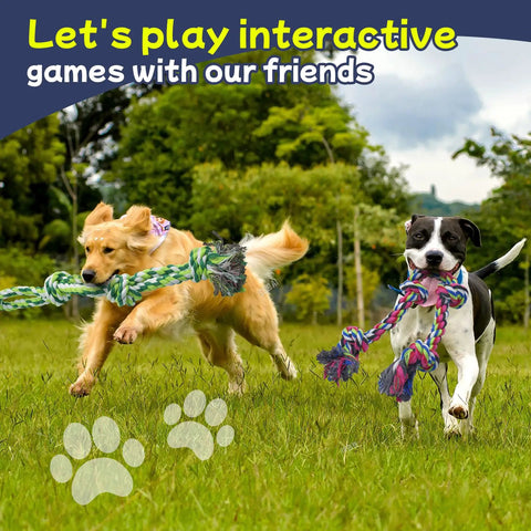 Two dogs playing tug of war outdoors with Four Pack Heavy Duty Dog Rope Toys For Aggressive Chewers, 100 Percent Cotton Rope.