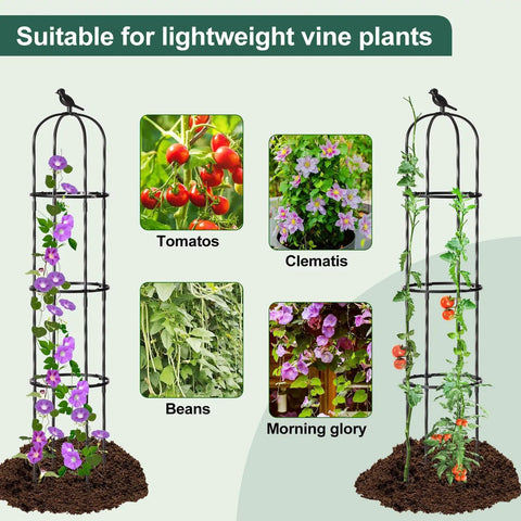 Garden Obelisk Trellis For Climbing Plants, 67-Inch Tall, supports clematis, tomatoes, beans, and morning glories in raised beds.