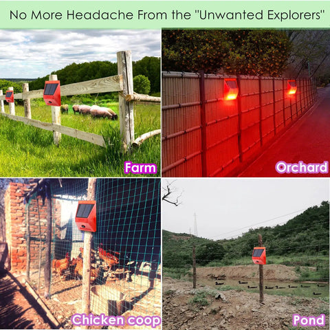 Solar Outdoor Motion Alarm With 129dB Siren on farm, orchard, chicken coop, and pond to deter intruders with strobe light and siren.