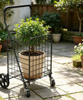 Go-To Grocery Cart With 360 Degree Swivel Front Wheels And 100 Lb Capacity, Collapsible Utility Cart holding potted plant, outside