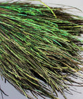 Natural Peacock Herl 400 Strands for Fly Tying Nymphs and Wet Streamers Rib and Body Material Length 4 to 8 Inches Lightweight