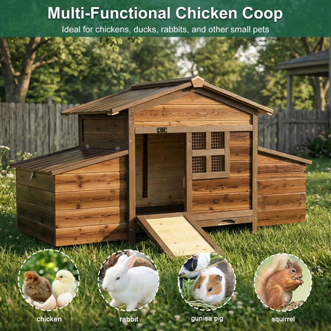 Spacious Wooden Chicken Coop With Two Nesting Boxes For Your Backyard Flock shown in a backyard setting.