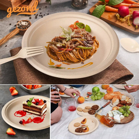 Eco Friendly Sugarcane Disposable Dinnerware Set with 250 pieces of compostable plates used for pasta and dessert at picnic