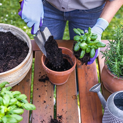 Gardener using metal trowel from Two Pack Mini Colorful Metal Garden Shovels Set 11 Inch Hand Trowels For Planting Transplanting Soil Digging Weeding In Small Pots Durable Iron Tools With Bright Pink Finish to fill terracotta pot with soil, surrounded by green plants.
