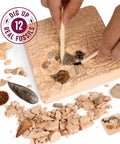 Hands-On Fossil Dig Kit For Kids Aged 8 To 12, Uncover 12 Real Fossils With An Illustrated Guide, A STEM Science Adventure For Boys And Girls, Easy To Use At Home, Educational, Engaging And Totally Fun. Kids using digging tools to uncover real fossils