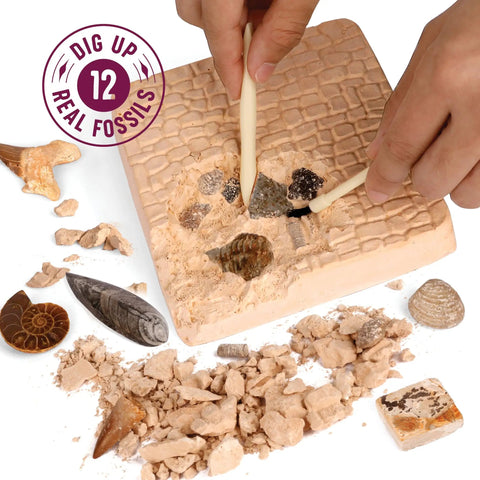 Hands-On Fossil Dig Kit For Kids Aged 8 To 12, Uncover 12 Real Fossils With An Illustrated Guide, A STEM Science Adventure For Boys And Girls, Easy To Use At Home, Educational, Engaging And Totally Fun. Kids using digging tools to uncover real fossils