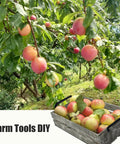 Ripe apples hanging on tree with a wooden tray of picked apples, featuring matte black cabinet hardware handle pulls.