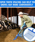 Heavy Duty Manure Fork Replacement Head For Metal Pitchfork, Angled Tines Garden Rake Attachment For Horse Stall Poop Pickup, 15 By 11 Inch, Fits 1 Inch Handle, Blue, in use in barn setting