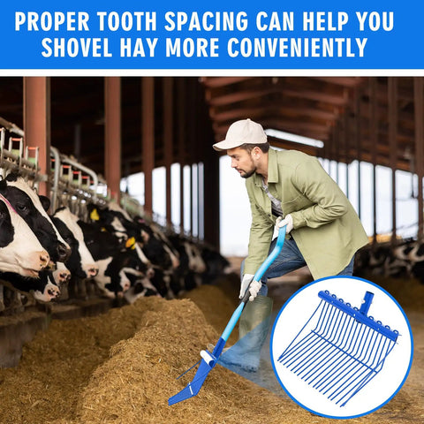 Heavy Duty Manure Fork Replacement Head For Metal Pitchfork, Angled Tines Garden Rake Attachment For Horse Stall Poop Pickup, 15 By 11 Inch, Fits 1 Inch Handle, Blue, in use in barn setting