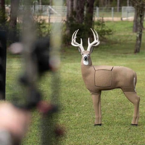 Life Like 3D Buck Archery Target That Stops Broadheads And Field Tips, 200 Pound Whitetail Body with bow aiming in foreground