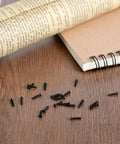 500 Pcs Extra Small Screws Micro Repair Kit in M1.2 M1.4 M2.0 Sizes with Black Finish, tiny screws scattered on table