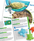 Educational booklet with sea and land turtles from Tactile Turtles Math Activity Set for Toddlers and Preschoolers, Sensory Learning Toy