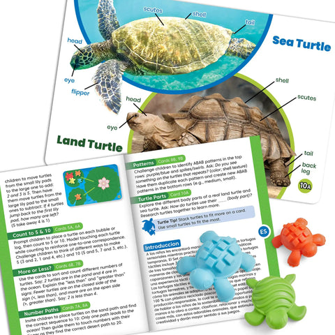 Educational booklet with sea and land turtles from Tactile Turtles Math Activity Set for Toddlers and Preschoolers, Sensory Learning Toy