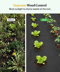 Before and after using Weed Barrier Landscape Fabric 4 Ft By 100 Ft Non Woven Easy To Cut Fray Resistant Breathable Permeable With 30 Stakes For Gardens Flower Beds And Vegetable Plots Say Goodbye To Weeds showing garden transformation.