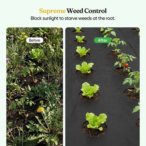 Before and after using Weed Barrier Landscape Fabric 4 Ft By 100 Ft Non Woven Easy To Cut Fray Resistant Breathable Permeable With 30 Stakes For Gardens Flower Beds And Vegetable Plots Say Goodbye To Weeds showing garden transformation.