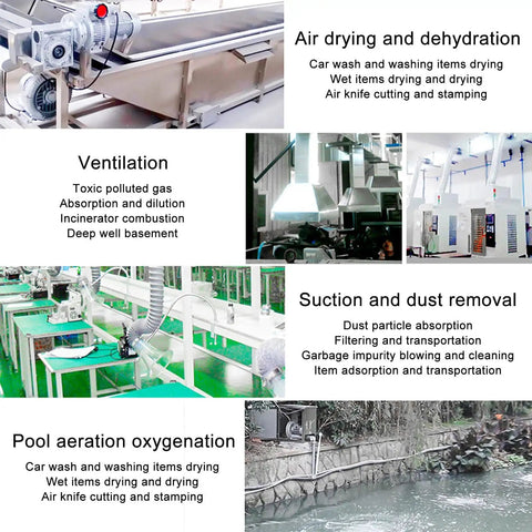 Industrial ventilation and dust removal system featuring air drying, suction, and pool aeration setups with regenerative blower.