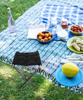 Grab And Go Portable Folding Stool And Camping Bench Silver Lightweight Retractable Outdoor Seat beside picnic setup