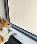 Durable Aluminum Diamond Plate Non Slip Stair Nosing 2 By 2 By 48 Inches installed as window sill, with dog nearby.