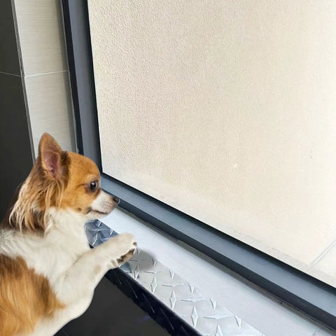 Durable Aluminum Diamond Plate Non Slip Stair Nosing 2 By 2 By 48 Inches installed as window sill, with dog nearby.