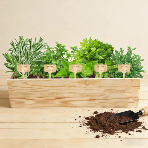 Indoor Herb Garden Starter Kit With Basil Parsley Rosemary Thyme And Mint Includes Planter Box Soil Discs Planters Markers Pruners Spray Bottle Mini Tools And Gift Box For Women Perfect For Kitchen Counter Or Windowsill Fresh Flavor All Year