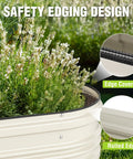 Galvanized Raised Garden Bed Set 4x2x1ft Open Bottom Design with safety edging showing plants and rust resistant material