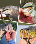 Bass caught with Gradient Wacky Rig Tool With Silicone O Rings 210 Pcs, showcasing effective lure protection and easy install.