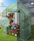 Outdoor Walk In Greenhouse 55 By 28 By 78 Inches With Three Tier Shelves Tool Free Setup Heavy Duty Durable PE Cover Weather Shield UV Protected, showcasing plants inside.