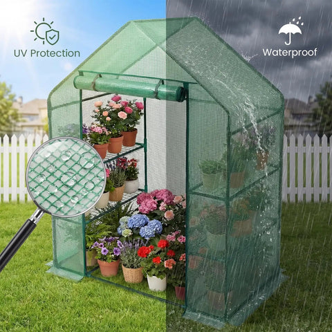 Outdoor Walk In Greenhouse 55 By 28 By 78 Inches With Three Tier Shelves Tool Free Setup Heavy Duty Durable PE Cover Weather Shield UV Protected, showcasing plants inside.