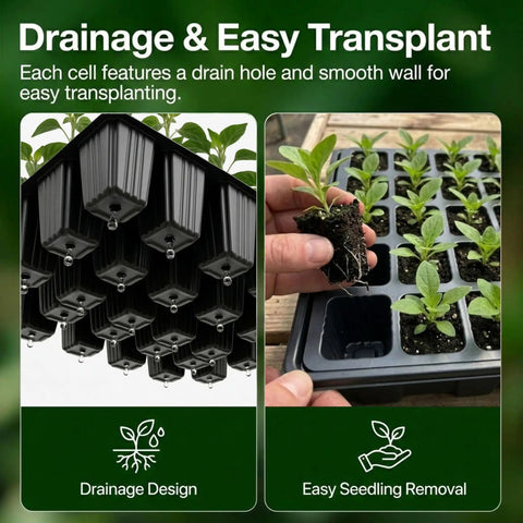 5-Set Seed Starter Tray Kits With Humidity Vented Domes And Bases For Durable Germination Trays showing drainage design.