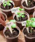 Clear 4 Inch Plant Pots With Drainage Holes, high transparency nursery pots for seedlings with labels in soil, 60 pack