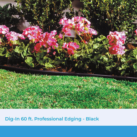 Pro Grade Landscape Edging Coil With Double Ridge Design For Flexible Sixty-Foot Roll For Gardens, Flower Beds, And Pathways Black Finish Made In The USA edging in flower bed with pink flowers