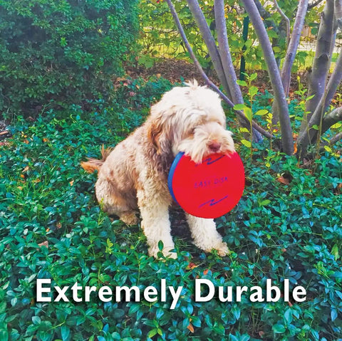 Dog holding Soft Catch Flying Disc Red For Indoor Outdoor Fun, Safe Frisbee For Kids And Adults, in a grassy area