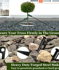 Heavy Duty Tree Stake Kit with 3 Straps, 3 Steel Spikes, and 39 Ft Rope securing a young tree on gravel