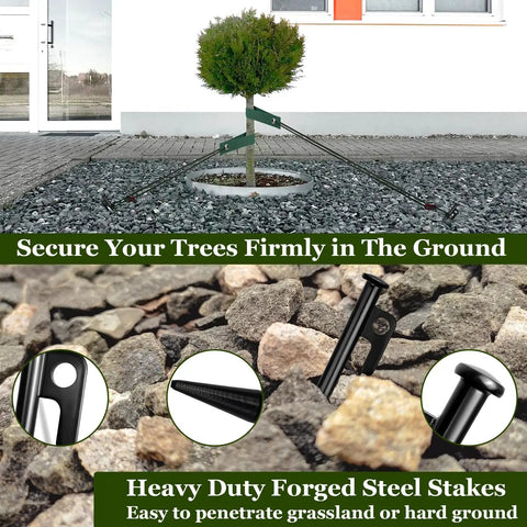 Heavy Duty Tree Stake Kit with 3 Straps, 3 Steel Spikes, and 39 Ft Rope securing a young tree on gravel