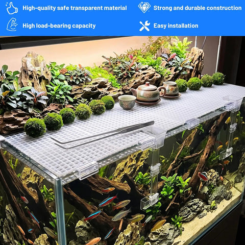 Lock Down 8 Pack Clear Acrylic Aquarium Lid Clips Rock Steady Fish Tank Cover Holders securing a rimless tank with plants and decor.