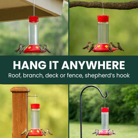 Glass Hummingbird Feeder For Outdoors Hanging, 30 Oz Nectar Capacity, Ant And Bee Guarded Red Bird Feeder, Easy Fill Wide Mouth Bottle