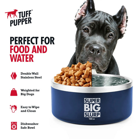 Hella Durable Double Wall Insulated Dog Bowl Made From Premium Stainless Steel Featuring A Slick Non Slip Bottom And Spill Proof Rim Design That Is Dishwasher Ready For Every Sized Pet In Cool Blue with food and water.