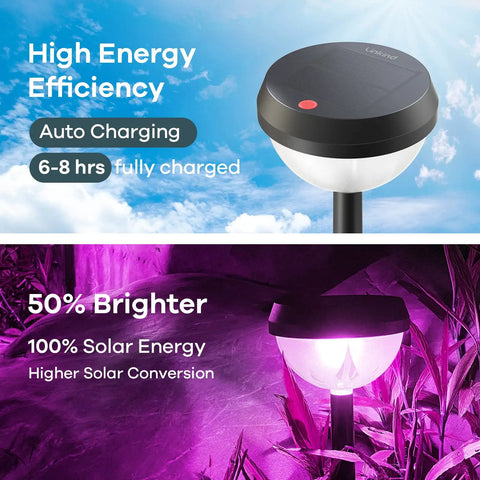 Color Changing Solar Path Lights 8 Pack Outdoor Waterproof Multicolor Landscape Lighting with Auto On showing energy efficiency