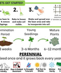 Step-by-step micro clover seed kit instructions for lawn transformation featuring mowing, raking, seed spreading, and plant growth stages.