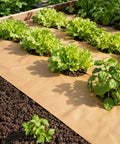 Biodegradable Paper Weed Barrier 2 Pack 100 Feet Each For Garden And Lawn No Fuss Landscape Fabric installed in vegetable garden