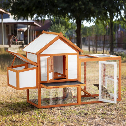Outdoor Chicken Coop With Large Nesting Box And 5 Lockable Doors, weatherproof wooden hen house in backyard setting
