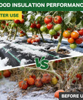 Tomato plants showing before and after effects of heavy duty weed barrier landscape fabric with insulation performance under snow.