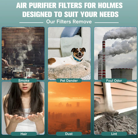 Image showing air purifier filter benefits such as removing smoke, pet dander, foul odor, hair, dust, and lint for Holmes filters.