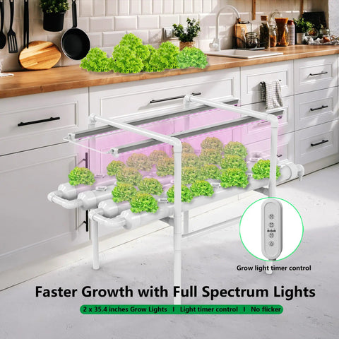 Hydroponic Growing System Kit With 36 Plant Sites Full Spectrum Grow Lights And Timer Auto Water Pump PVC U Pipes in kitchen