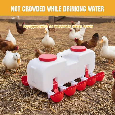 Backyard Boss Automatic Chicken Waterer Featuring Ten Heavy Duty Cups Plus A 9.6 Gallon Self Filling Reservoir for chickens and ducks.