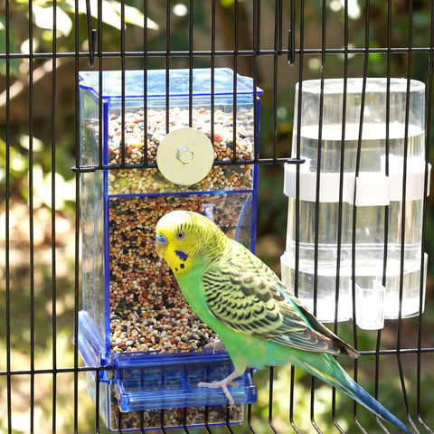 Straight-Up No-Mess Bird Feeder And Water Dispenser Set Featuring Automatic Drinking Bottles And Fresh Food Bowls With A Sturdy Chew Stick And Fast Cleanup Scoop Ideal For Joyful Parakeets Cockatiels And Lovebirds In Bright Blue with a parakeet feeding.