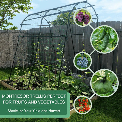 Sturdy 7 Foot Extra Tall Garden Arch Trellis for Climbing Plants Outdoor Use with Polyethylene Coated Stainless Steel Frame and Clips