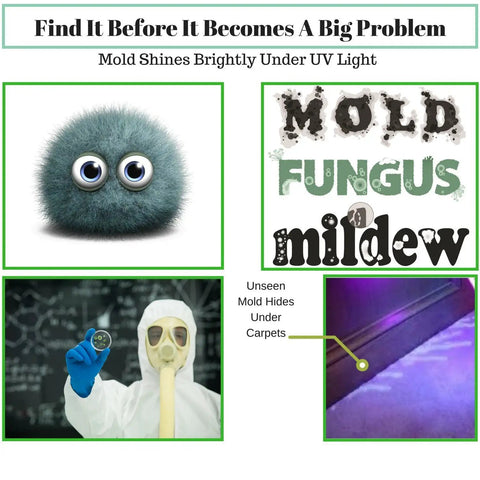 Image highlighting how mold shines under UV light using a Powerful LED Ultraviolet Black Light Flashlight For Detecting Mold.