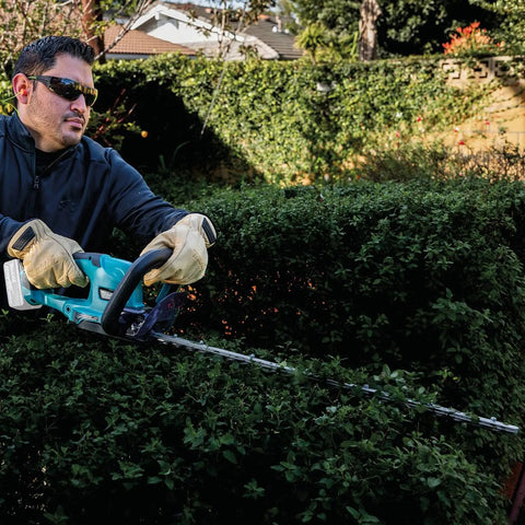 Man trimming hedge with 18V LXT Cordless Hedge Trimmer With 24 Inch Dual Action Blade Tool Only No Gas No Mess No Emissions
