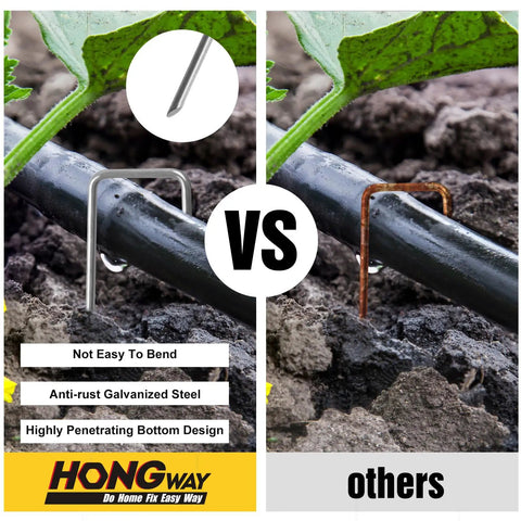 Comparison between 500 Pack 6 Inch Galvanized Landscape Staples and rusty stakes securing irrigation tubing in soil